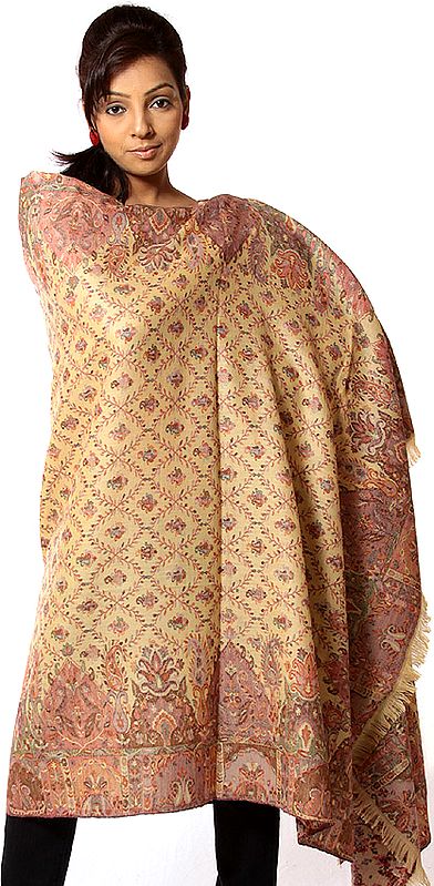 Cream Kani Shawl with Multi-Color Woven Jaal