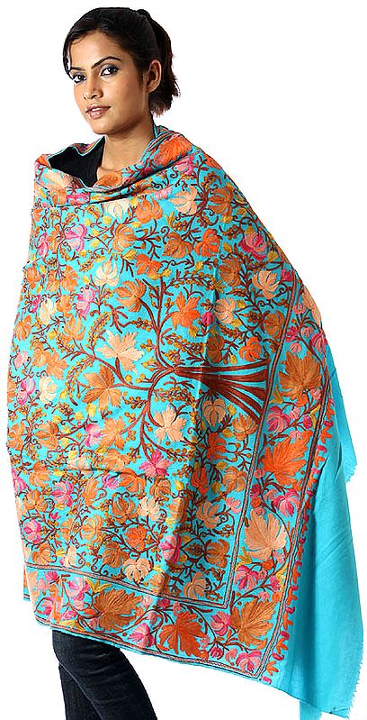 Cyan Kashmiri Shawl with Embroidered Chinar Leaves All-Over