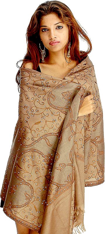 Dark Camel Colored Aari Stole from Kashmir with Sequins
