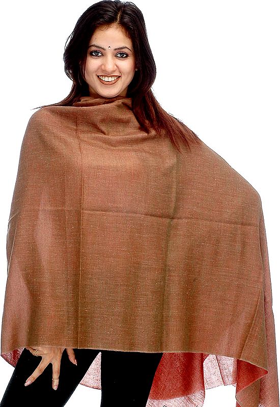 Double Sided Pure Pashmina Shawl as an Imitation of Shahtoosh
