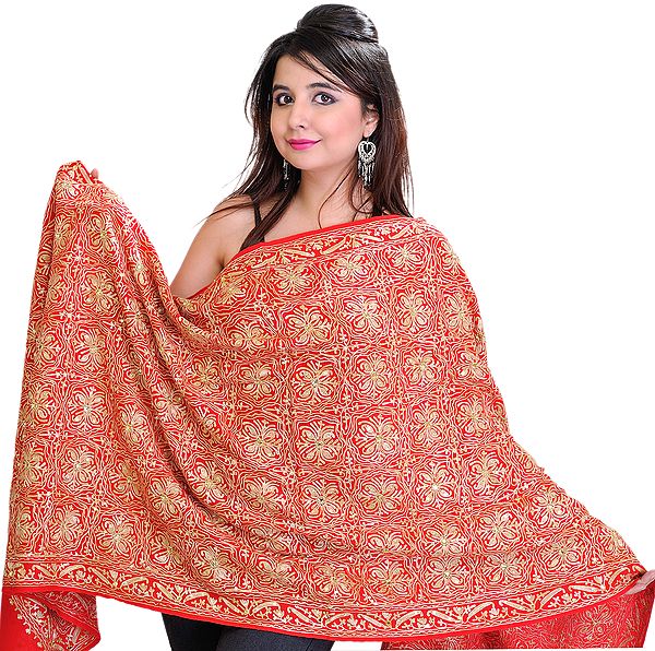 Shawl from Amritsar with Aari Embroidery and Sequins