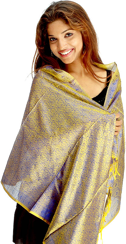 Golden and Blue Banarasi Stole with Tanchoi Weave