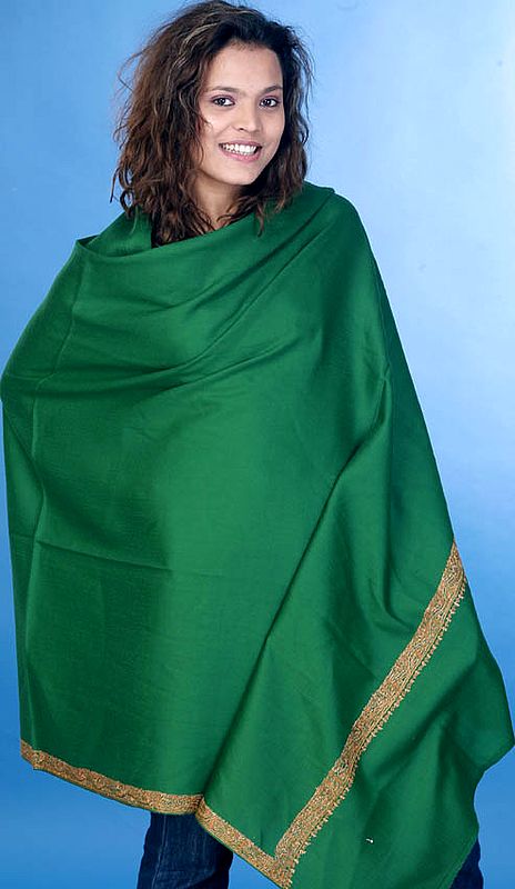 Green Shawl with Embroidery on Border