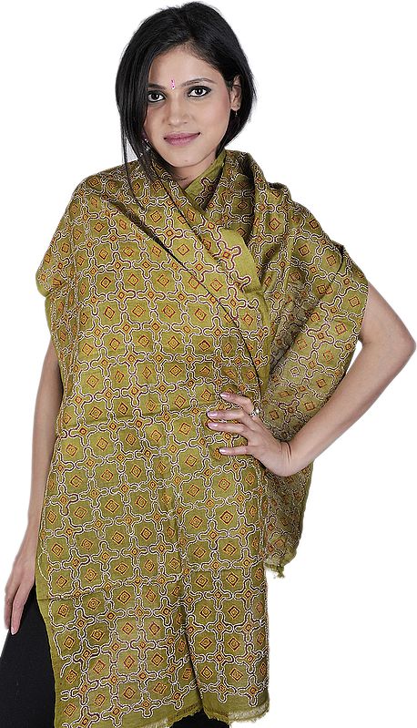 Green-Moss Kantha Embroidered Printed Scarf from Bengal