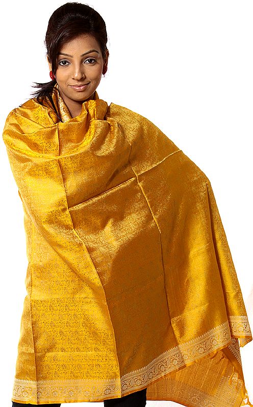 Handwoven Golden-Yellow Banarasi Shawl with Tanchoi Weave