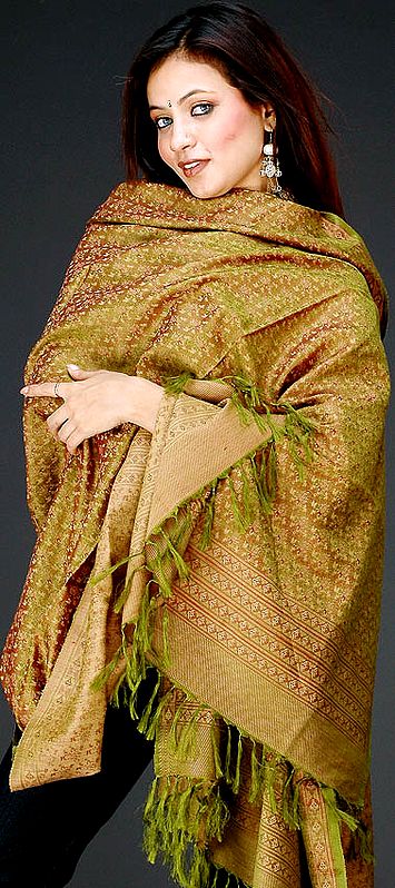 Handwoven Green Banarasi Shawl with Dense Tanchoi Weave
