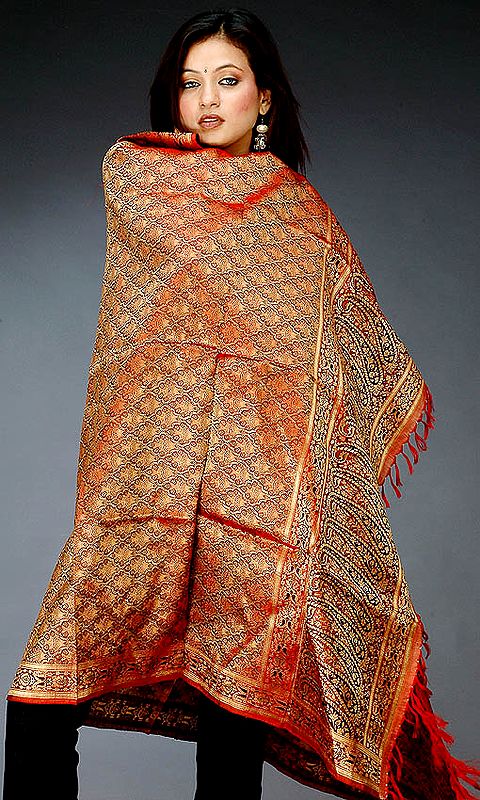 Handwoven Rust Banarasi Shawl with Dense Tanchoi Weave