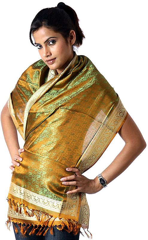 Handwoven Sepia Banarasi Stole with Tanchoi Weave
