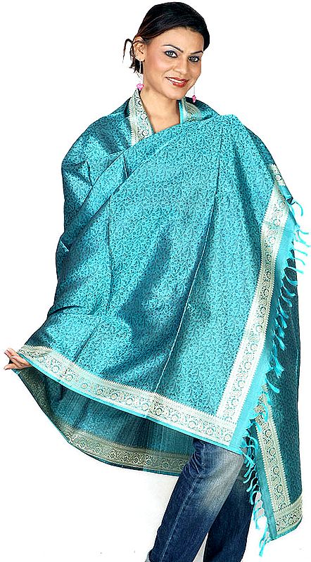 Handwoven Sky-Blue Banarasi Shawl with Tanchoi Weave