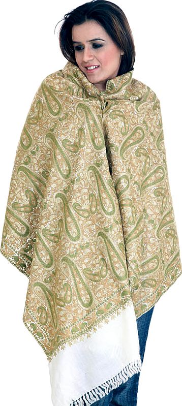Ivory Paisley Jamdani Stole with Dense Antique Embroidery from Kashmir