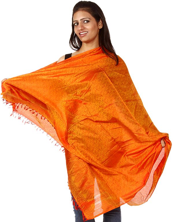 Jaffa-Orange Banarasi Shawl with Tanchoi Weave by Hand