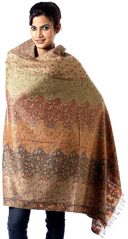 Khaki Kani Shawl with Woven Paisleys in Multi-Color Thread