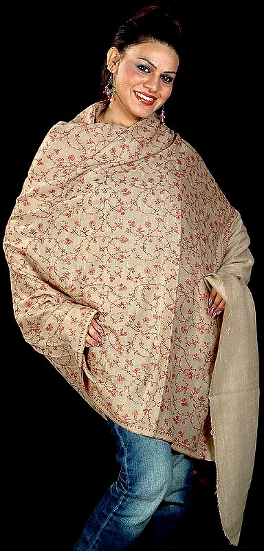 Khaki Tusha Shawl with Sozni Jaal Embroidery