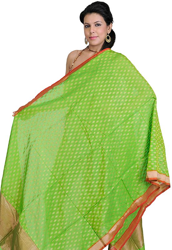 Kiwi-Green Summer-Silk  Dupatta from Banaras with All-Over Woven Bootis in Golden Thread