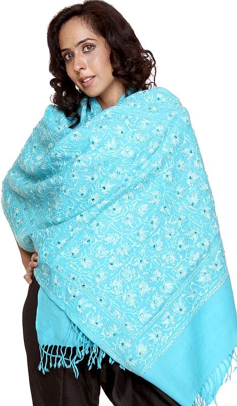 Lake-Blue Stole with Aari Embroidery and Sequins
