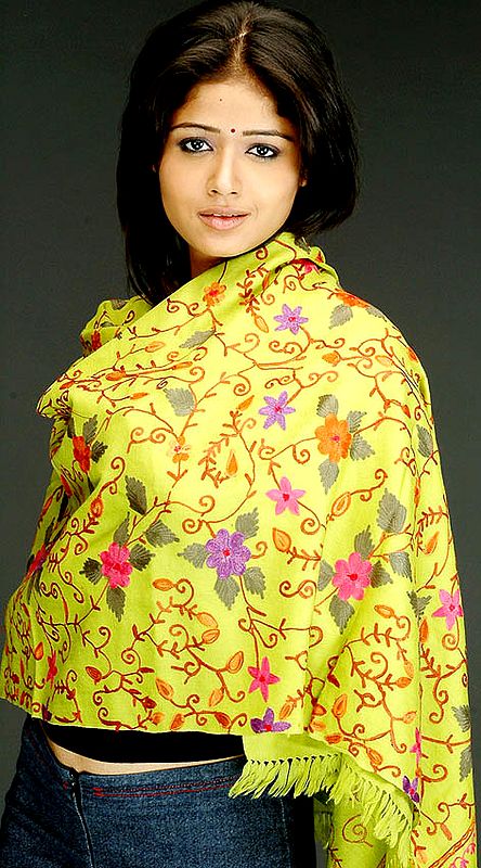 Lime Green Aari Floral Stole from Kashmir