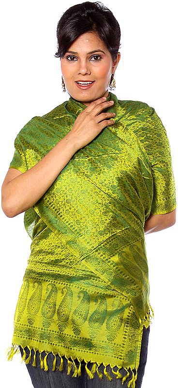Lime-Green Banarasi Scarf with Tanchoi Weave