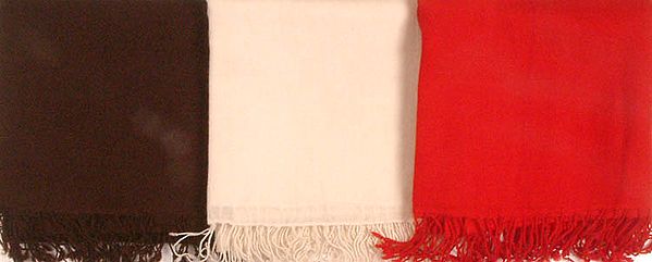 Lot of Three 100% Pashmina Stoles from Nepal