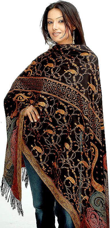 Luxurious Hand-Embroidered Kashmiri Shawl with Jacquard Woven Border
