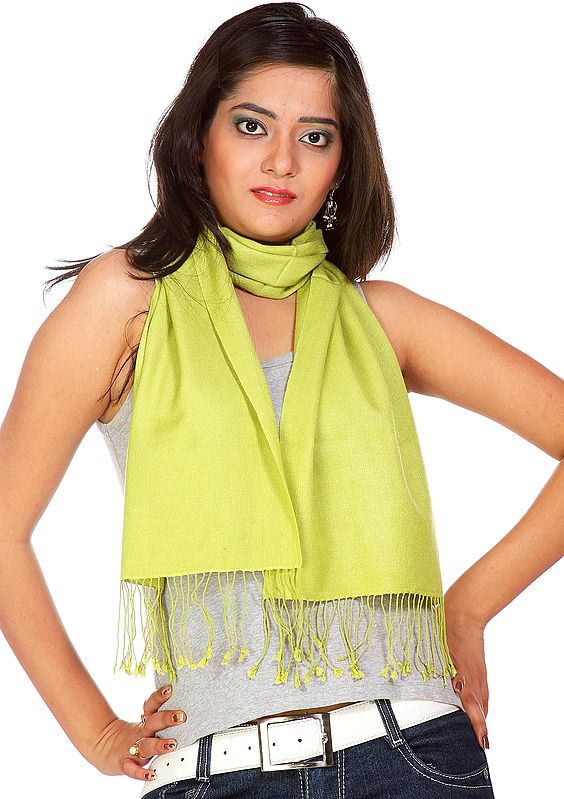 Moss-Green Silk-Pashmina Scarf from Nepal