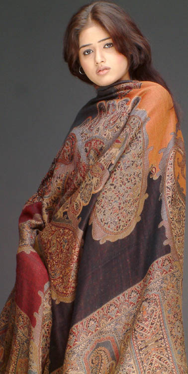 Multi-Colored Jamawar Shawl
