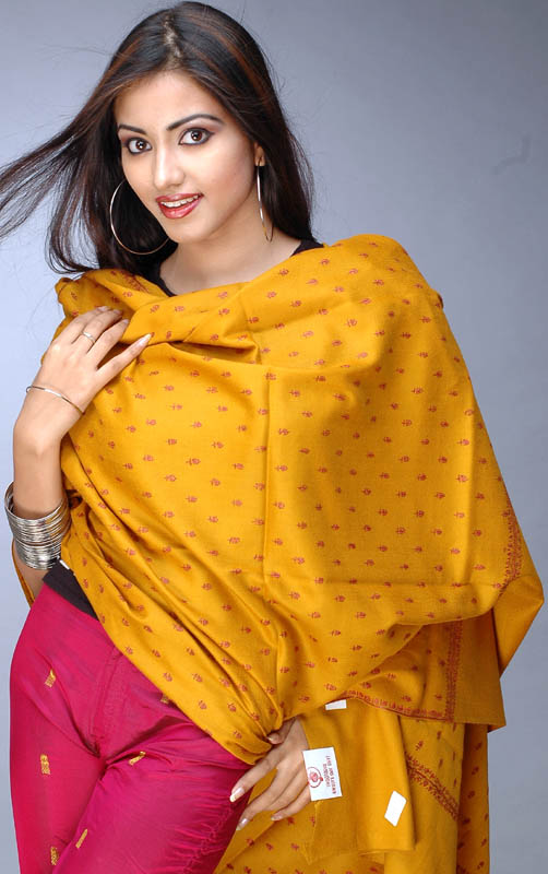 Mustard Kashmiri Shawl with All-Over Bootis