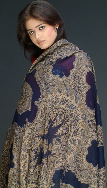 Navy Blue Jamawar Shawl