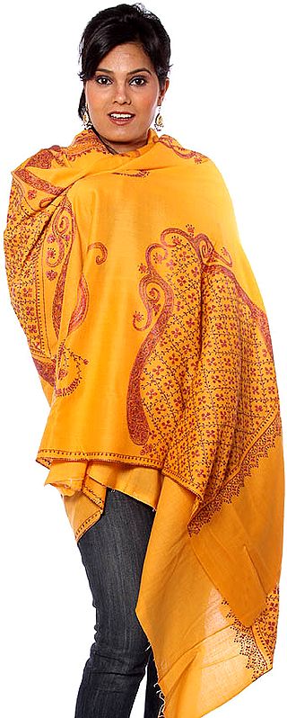 Orange-Peel Tusha Shawl with Sozni Embroidered Stylized Paisleys