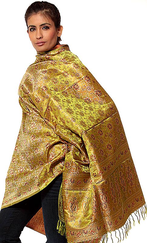Pear-Green Resham Tehra Banarasi Shawl Hand-Woven
