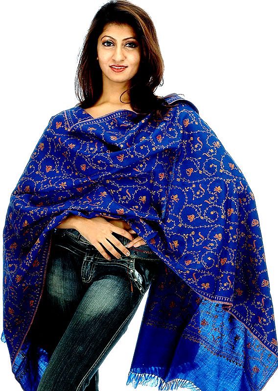 Persian Blue Tusha Stole with Jaal Embroidery by Hand