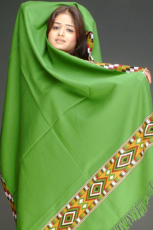 Plain Green Shawl with Kullu Border