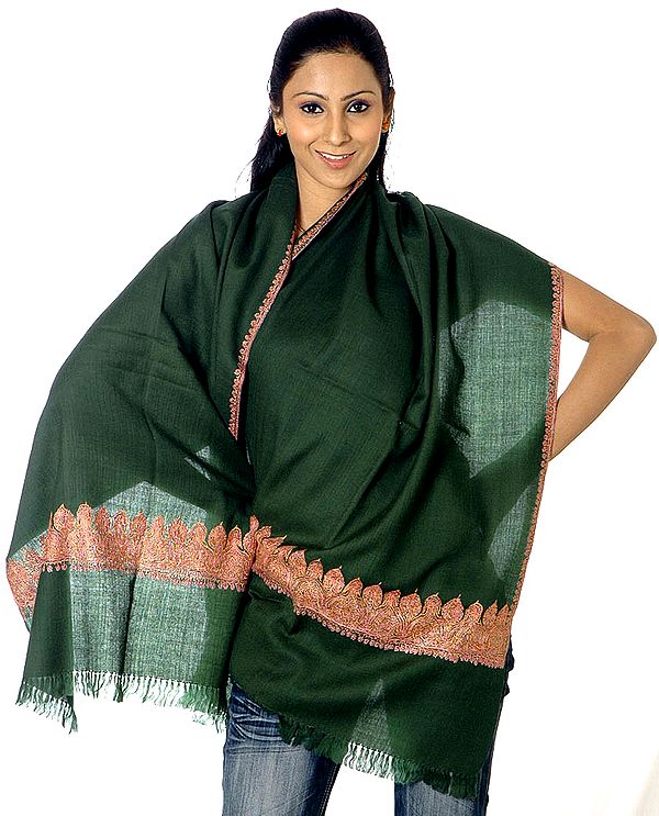 Plain Green Stole from Kashmir with Needle Embroidery on Border