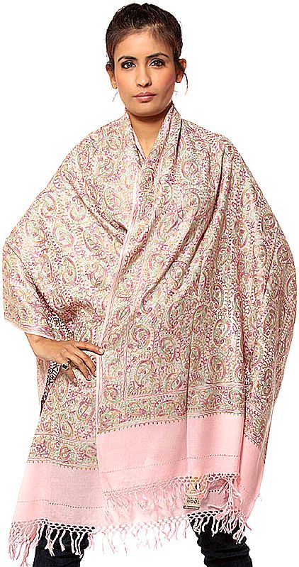 Powder-Pink Aari Stole with All-Over Embroidered Paisleys