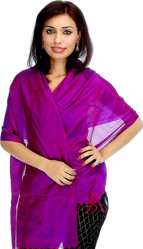 Purple Banarasi Stole with Tanchoi Weave