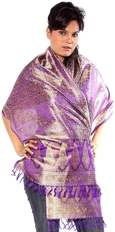 Purple Resham Tehra Scarf with Tanchoi Weave All Over