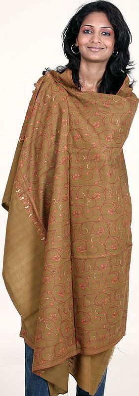 Raw Umber Tusha Shawl from Kashmir with Jaal Embroidery