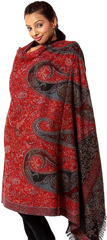 Red and Black Kani Shawl with Woven Paisleys on Border