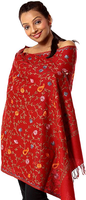 Red Aari Stole with Multi-Color Embroidered Paisleys