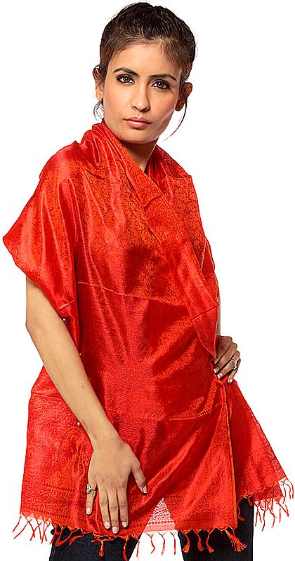 Red Banarasi Scarf with Tanchoi Weave in Golden Thread