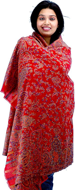 Red Kani Shawl with Densely Woven Paisleys