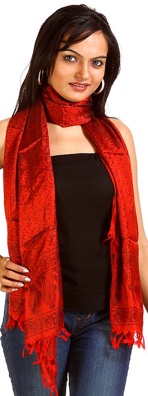 Red Tanchoi Shawl From Banaras with Black Thread Weave
