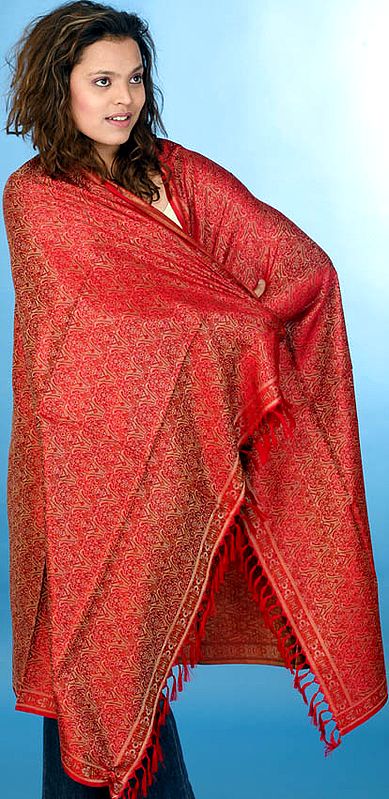 Red Tehra Banarasi Shawl Hand-Woven with All-Over Paisleys