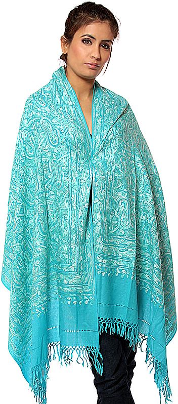 Robin-Egg Blue Aari Stole with Self-Colored Embroidery and Crystals