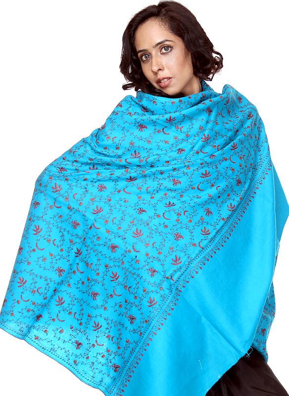 Robin-Egg Blue Tusha Shawl with Sozni Embroidered Jaal by Hand