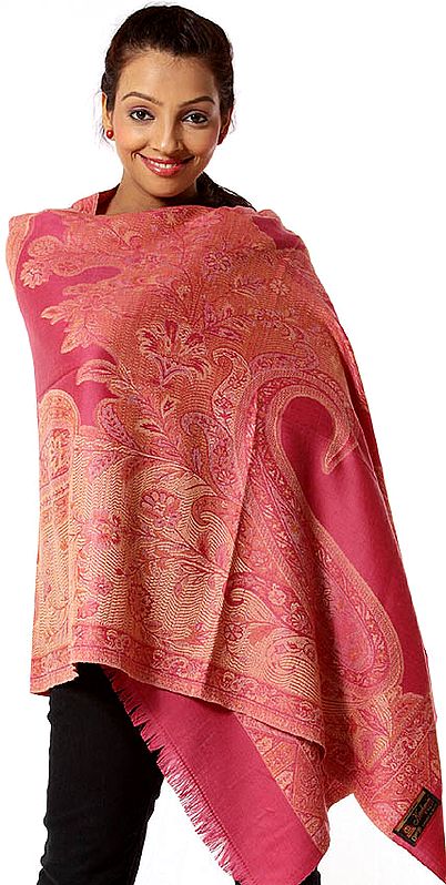Ruby Jamawar Stole with Woven Paisley