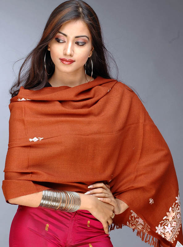 Rust Brown Stole with Aari-Embroidery on Border