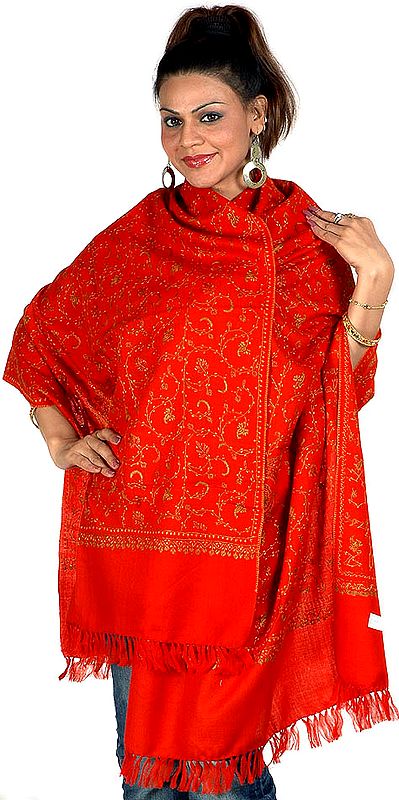 Rust Tusha Stole with All-Over Sozni Embroidery