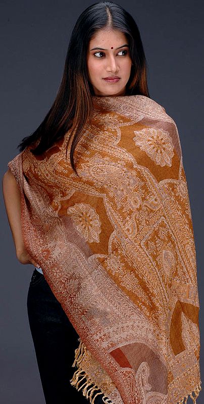 Shades of Brown on a Jamawar Stole