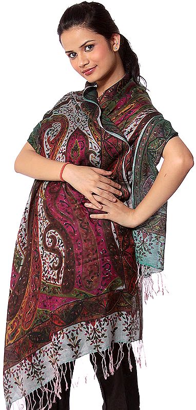 Multi-Color Kani Stole with Printed Paisleys