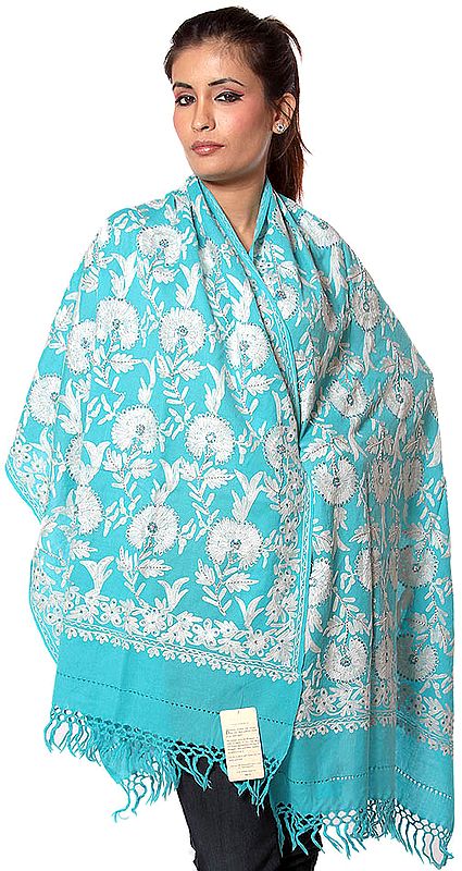 Robin-Egg Blue Aari Stole with All-Over Embroidery and Beadwork